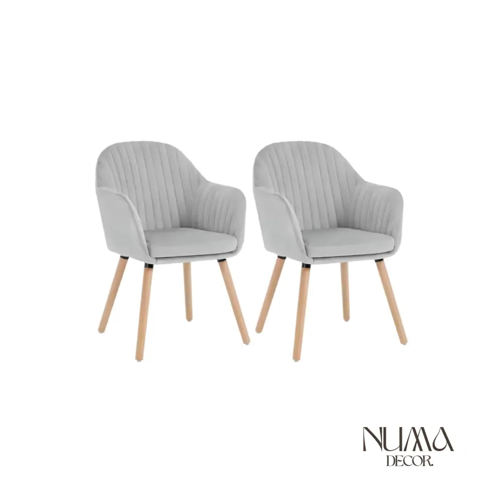 Eira | Juego de Dos Sillas de Diseño Nórdico Gris claro