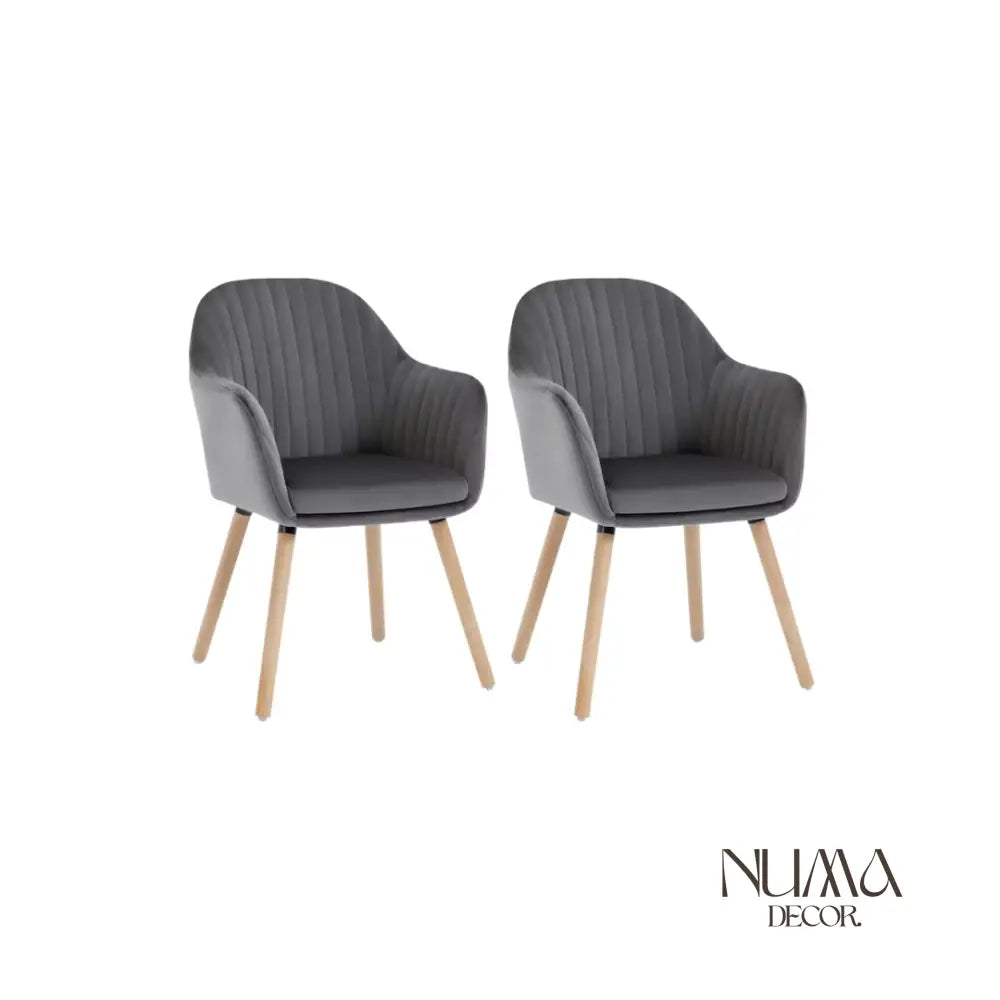 Eira | Juego de Dos Sillas de Diseño Nórdico Gris oscuro