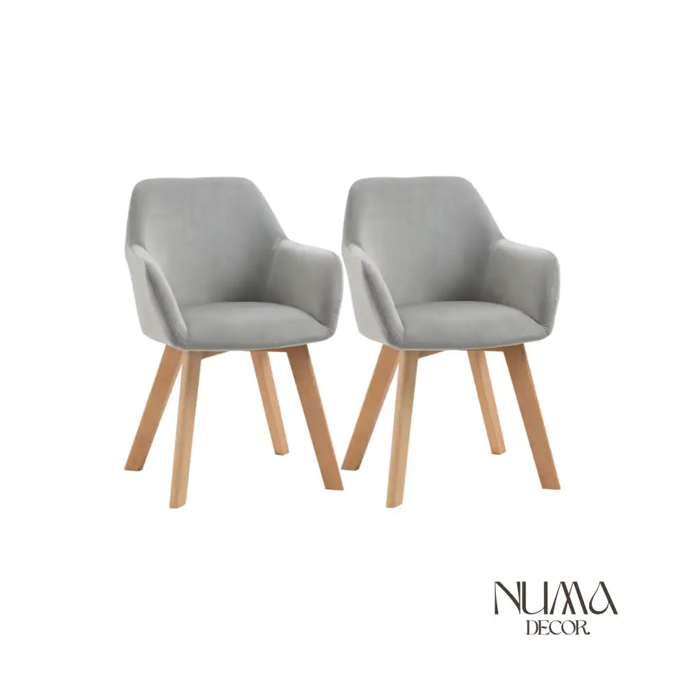 Lyra | Juego de Dos Sillas de Comedor de Terciopelo Gris